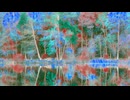 NATURE'S HARMONY☆★長山 知由理☆★