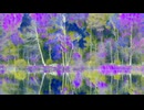 NATURE'S HARMONY☆★長山 知由理☆★