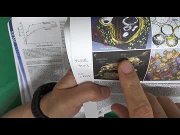 レプリコンの怖さの内容