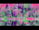 NATURE'S HARMONY☆★長山 知由理☆★