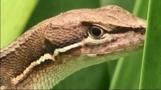 久し振りのいつもの奴ら垂れ流し　24