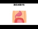 豆の豆知識