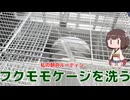 毎朝のルーティン！フクロモモンガケージを水圧と日光消毒でメンテナンス