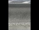 75060119057__DACC7024-5C5B-441B-AA71-36952F74947D