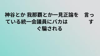 神谷とか 我那覇とか一見正論を言っている統一会議員にバカはすぐ騙される