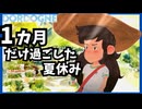 【インディゲーム】フランス版ぼくのなつやすみ ドルドーニュ【Dordogne】チャプター1前半