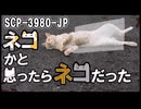 【SCP解説】SCP-3980-JP  『ネコかと思ったらネコだった』【ゆっくり塩】