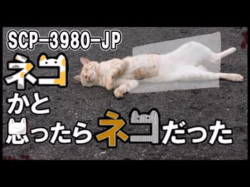【SCP解説】SCP-3980-JP  『ネコかと思ったらネコだった』【ゆっくり塩】