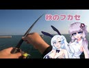 【VOICEROIDフィッシング】やっと快適に釣りができるようになりました【フカセ釣り】