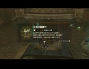 ゼルダの伝説　ティアーズ オブ ザ キングダム　実況プレイPart161