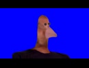 ペンギン先輩BB
