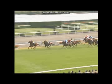 2003 菊花賞 (GⅠ) ザッツザプレンティ - ニコニコ動画