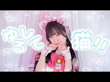 【かずは】ゆるして猫‼︎ 踊ってみた【オリジナル振付】