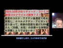 2024.10.14リチャード・コシミズ新型コロナウイルス戦争７２７日本語字幕付き