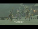【ゼル伝TotK】おててと旅するリンクさん　パート２６【もちまる】