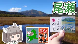 【上毛かるた：せ】きりたんの上毛かるたん！～仙境尾瀬沼花の原～【東北きりたん】