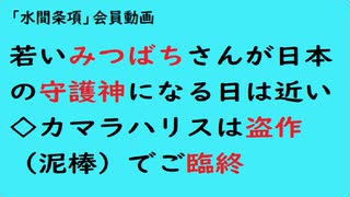 第860回『若いみつばちさんが日本の守護神になる日は近い◇カマラハリスは盗作（泥棒）でご臨終』【「水間条項」会員動画】