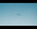 【初投稿】S・K・Y  歌ってみた【Kei】
