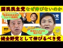 【国民民主党】玉木代表・榛葉幹事長・なぜ伸びないのか？「普通すぎるから(笑)」健全野党として伸びるべき・まともな野党がないのが日本の悲劇