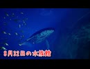 【8月32日の水族館】無限に続く水族館から脱出を目指す3D間違い探しゲームが面白すぎる件【4日目】