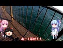 琴葉姉妹と行く釣行記録（海釣り編part42 5/7）