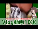 【 #フクロモモンガ 】10選！2024年9月のShort動画まとめてどうぞ！Vlog版【 #おはモモンガ 】