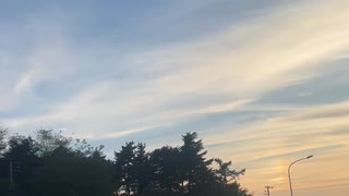 IMG_3677