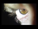 IsMyPoInToFvIeW