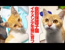 フェネック子猫、衰弱から常識猫へ成長する
