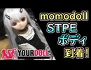 【ラブドールと解説】リリちゃん新ボディ「momodoll製STPEボディ」到着！　したのはいいが・・・？【ゆっくり解説・VOICEVOX解説】