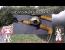 うさぎちゃんばかりかわいいかわいい言われるため不貞腐れてバス釣りに行く四国めたん【VOICEROIDフィッシング】四国めたんと中国うさぎ