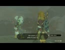 【ゼル伝TotK】おててと旅するリンクさん　パート２７【もちまる】