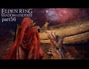 【ELDEN RING Shadow of the Erdtree】発売日から全ボスを倒すまで【実況】 part56
