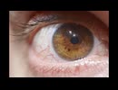 IsMyPoInToFvIeW