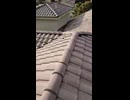 GC Pro Renovation