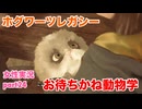 □■ホグワーツ・レガシーをまったり実況 part24【女性実況】