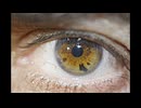 IsMyPoInToFvIeW