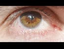 IsMyPoInToFvIeW