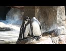東武動物公園