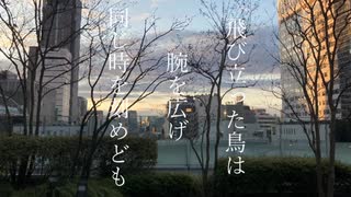 花燕/羽累
