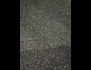75084893511__51439EF8-0599-4E20-86F0-1D38F5C0287D