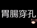 【ゆっくり朗読】ゆっくりさんと不思議な病気 その669