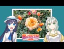 【日帰り旅行祭2024】春とバラの香り【紡乃世詞音、双葉湊音】