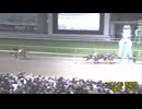 第37回マイルチャンピオンシップ南部杯（Ｒｏａｄ ｔｏ ＪＢＣ） レモンポップ