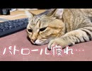 熱心なのはいいんですが…