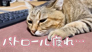 熱心なのはいいんですが…