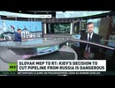 RT interview with Slovak MEP Lubos Blaha (Courtesy: RT)