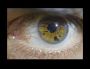 IsMyPoInToFvIeW