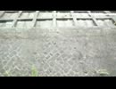 窓から撮った山陽本線 八本松駅～瀬野駅間　無断使用禁止□