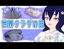 【世界クラゲの日】水族館で出会える華やかなクラゲ3選